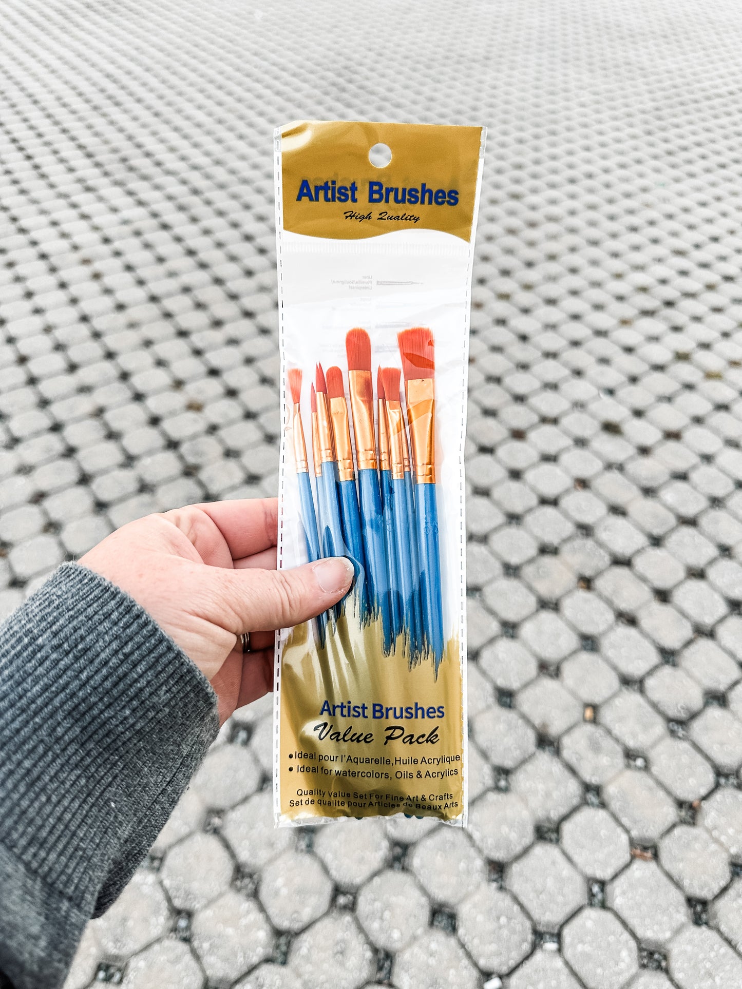Blue Pack of 10 Paint Brushes