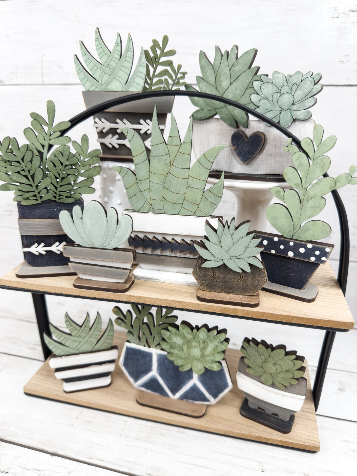 Set of 10 Mini Succulents DIY Kit