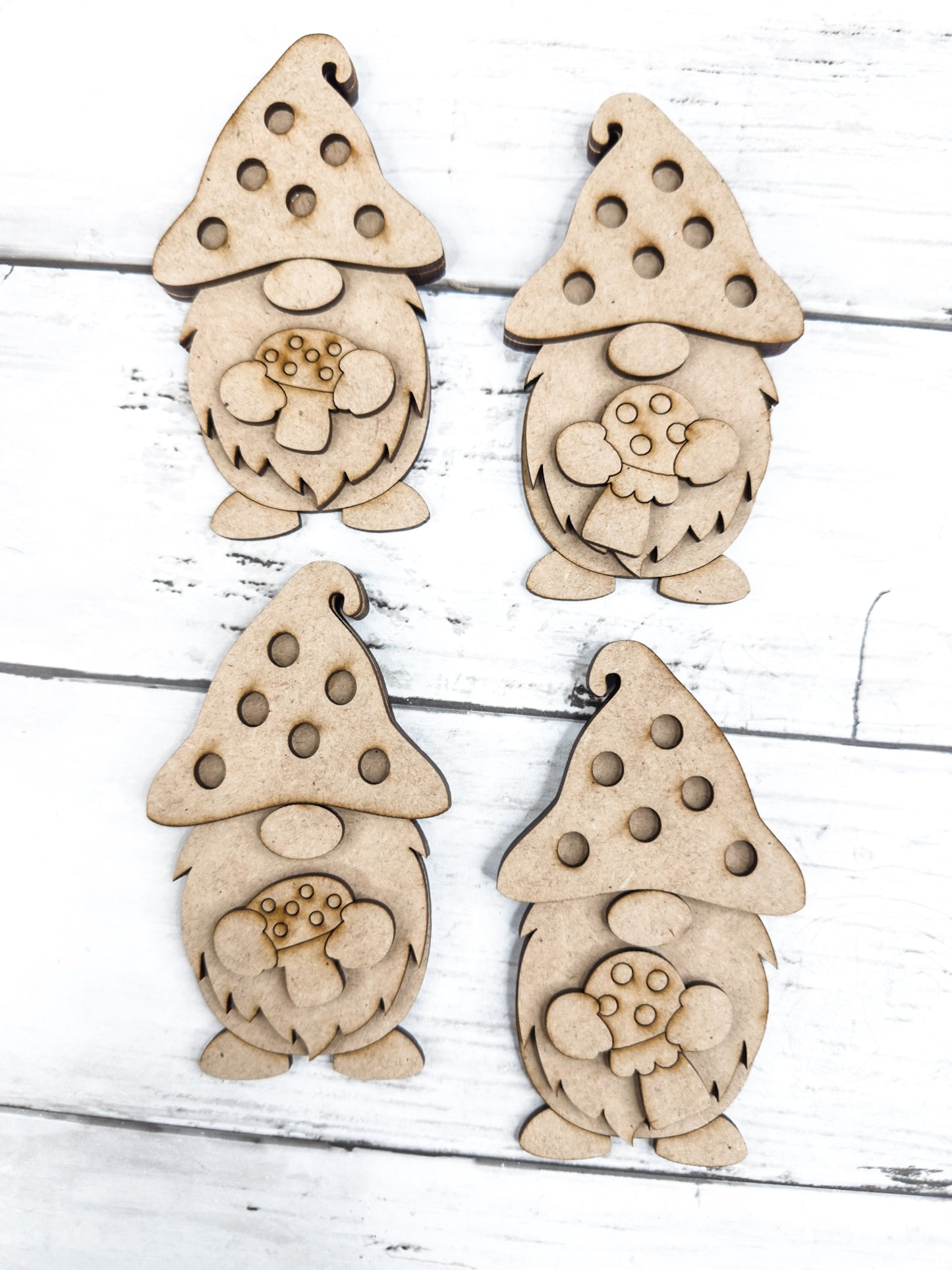 4 Little Mushroom Gnomes DIY Kit