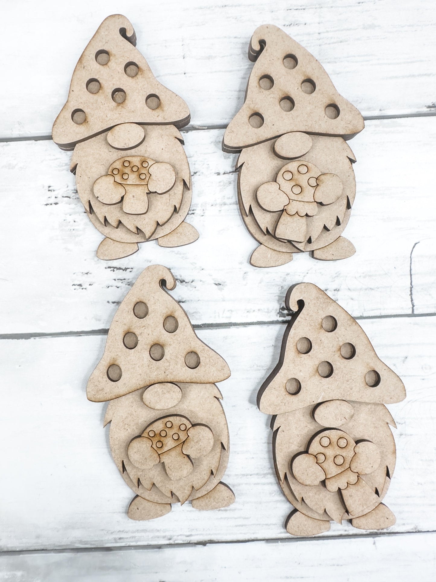 4 Little Mushroom Gnomes DIY Kit