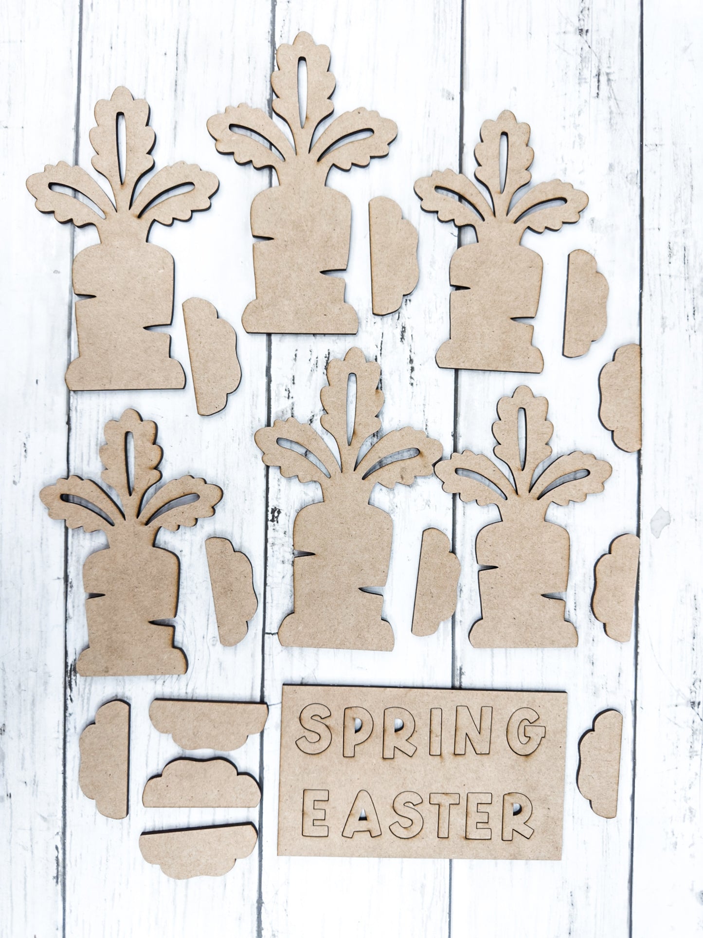Reversible Carrots Easter Spring Sign DIY Kit