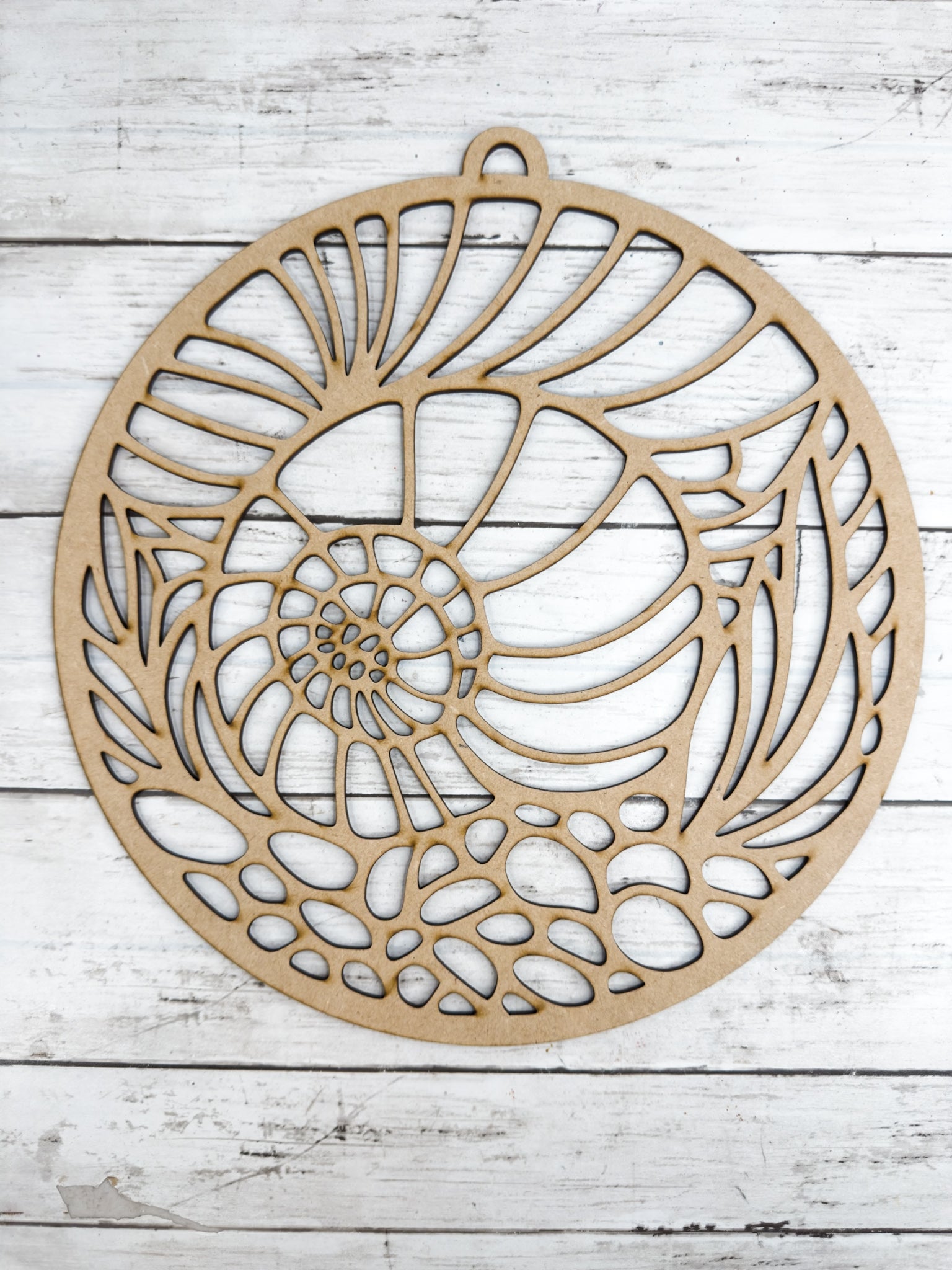 BULK Style 20 Round Sea Shell Laser Cut Outline Frame Blank – The ...
