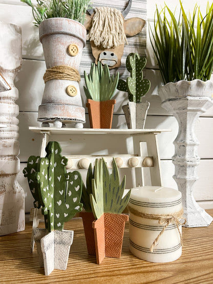 3D Set Cactus DIY Kit