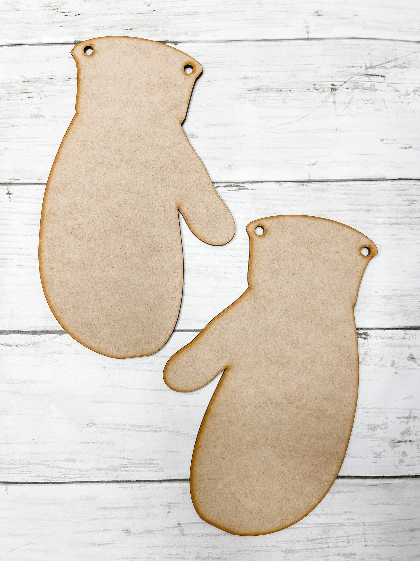 Mittens Cut Outs DIY Kit